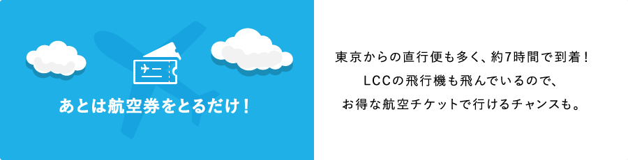 あとは航空券をとるだけ！東京からの直行便も多く、約7時間で到着！LCCの飛行機も飛んでいるので、お得な航空チケットで行けるチャンスも。