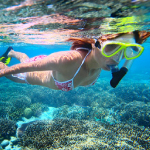 カリブ海クルーズの見どころは